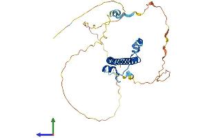 Protein Structure (PS) image for D Site of Albumin Promoter (Albumin D-Box) Binding Protein (DBP) (AA 1-325) protein (His tag) (ABIN7557635)