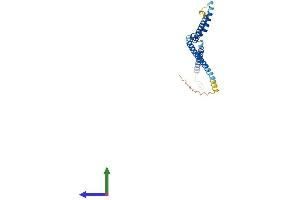 AlphaFold protein structure predicition of Human Recombinant HAUS2 Protein, UniprotID Q9NVX0