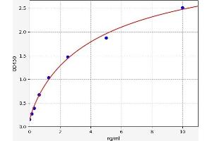 STAT3 ELISA 试剂盒