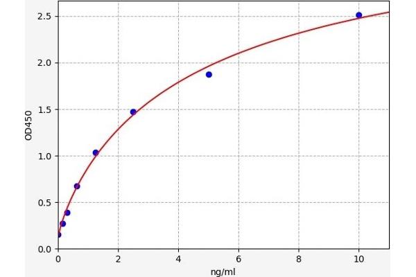STAT3 ELISA 试剂盒