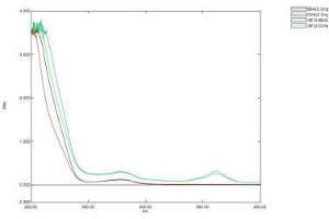 Image no. 1 for Vitamin B12 protein (Ovalbumin) (ABIN1880119) (Vitamin B12 Protein (Ovalbumin))