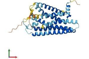 Protein Structure (PS) image for Olfactory Receptor, Family 2, Subfamily S, Member 2 (OR2S2) (AA 1-319) protein (His tag) (ABIN7550515)