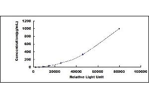 ELISA image for Interleukin 1 Family Member 9 (IL1F9) CLIA Kit (ABIN1081646)