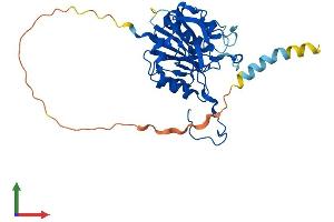 AlphaFold protein structure predicition of Mouse Recombinant B3gat2 Protein, UniprotID P59270