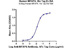 ELISA image for Microfibrillar-Associated Protein 4 (MFAP4) (AA 22-255) protein (His-DYKDDDDK Tag) (ABIN7275230)