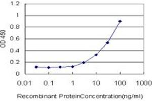 Detection limit for recombinant GST tagged CHEK1 is approximately 1ng/ml as a capture antibody. (CHEK1 抗体  (AA 361-476))