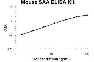 Mouse SAA PicoKine ELISA Kit standard curve (SAA1 ELISA 试剂盒)