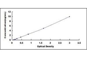 Typical standard curve (PCDHB15 ELISA 试剂盒)