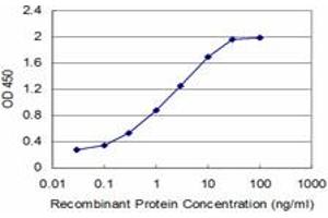 Detection limit for recombinant GST tagged NPY is approximately 0. (NPY 抗体  (AA 29-97))