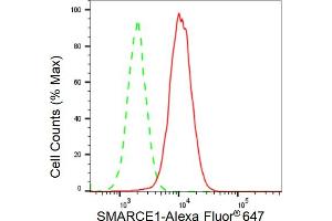 Flow cytometric analysis of SMARCE1 expression in HAP-1 cells using SMARCE1 antibody (ABIN7800481), 1:2,000).