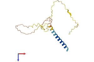 AlphaFold protein structure predicition of Human Recombinant FAM163A Protein, UniprotID Q96GL9