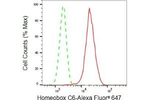 Flow cytometric analysis of Homeobox C6 expression in HepG2 cells using Homeobox C6 antibody (ABIN7798994), 1:2,000). (Recombinant Homeobox C6 抗体)