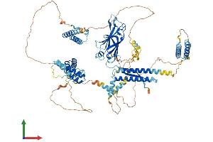 Protein Structure (PS) image for Coiled-Coil and C2 Domain Containing 1B (CC2D1B) (AA 1-858) protein (His tag) (ABIN7552949)