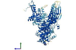 Protein Structure (PS) image for Polymerase (RNA) III (DNA Directed) Polypeptide B (POLR3B) (AA 1-1133) protein (His tag) (ABIN7555251)