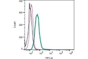 Cell surface detection of TRPM7 by direct flow cytometry in live intact human  monocytic leukemia cells: + Rabbit IgG Isotype Control-FITC (ABIN7582044).