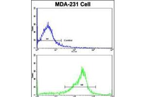 Flow Cytometry (FACS) image for anti-serpin Peptidase Inhibitor, Clade A (Alpha-1 Antiproteinase, Antitrypsin), Member 9 (SERPINA9) (AA 194-222) antibody (ABIN5535094)