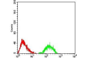 Flow cytometric analysis of Jurkat cells using ATXN1 mouse mAb (green) and negative control (red). (Ataxin 1 抗体  (AA 645-815))