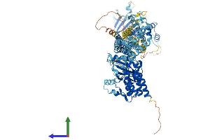 Protein Structure (PS) image for Dual serine/threonine and tyrosine Protein Kinase (DSTYK) (AA 1-929) protein (His tag) (ABIN7553732)