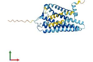 Protein Structure (PS) image for Olfactory Receptor, Family 56, Subfamily B, Member 4 (OR56B4) (AA 1-319) protein (His tag) (ABIN7550227)
