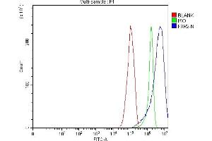 Flow Cytometry analysis of RT4 cells using anti-FXR2 antibody (ABIN7600138).