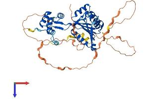 AlphaFold protein structure predicition of Mouse Recombinant Fam83a Protein, UniprotID Q8K2P2 (FAM83A Protein (AA 1-436) (His tag))
