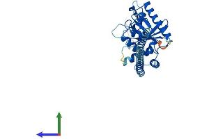 Protein Structure (PS) image for GTPase, IMAP Family Member 5 (GIMAP5) (AA 1-308) protein (His tag) (ABIN7558960)