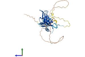 Protein Structure (PS) image for Par-6 Partitioning Defective 6 Homolog beta (PARD6B) (AA 1-371) protein (His tag) (ABIN7561623)