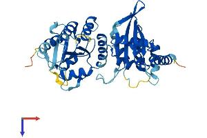 AlphaFold protein structure predicition of Human Recombinant APOBEC3G Protein, UniprotID Q9HC16