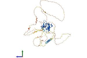 Protein Structure (PS) image for Ets Variant 4 (ETV4) (AA 1-485) protein (His tag) (ABIN7563045)