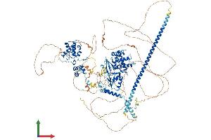 Protein Structure (PS) image for SWI/SNF Related, Matrix Associated, Actin Dependent Regulator of Chromatin, Subfamily C, Member 2 (SMARCC2) (AA 1-1213) protein (His tag) (ABIN7564117)