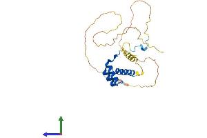AlphaFold protein structure predicition of Mouse Recombinant Hoxb8 Protein, UniprotID P09632