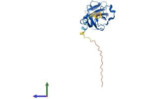 AlphaFold protein structure predicition of Human Recombinant PITHD1 Protein, UniprotID Q9GZP4