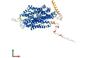 Protein Structure (PS) image for Solute Carrier Family 6 (Neurotransmitter Transporter, L-Proline), Member 7 (SLC6A7) (AA 1-637) protein (His tag) (ABIN7558076)