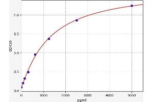 Typical standard curve (LC3B ELISA 试剂盒)