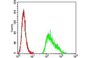 Flow Cytometry (FACS) image for anti-Tet Methylcytosine Dioxygenase 2 (TET2) antibody (ABIN7193624)