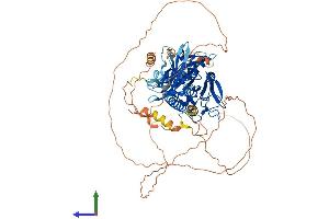 Protein Structure (PS) image for RAP1 GTPase Activating Protein 2 (RAP1GAP2) (AA 1-712) protein (His tag) (ABIN7557543)