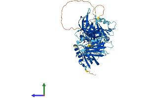 Protein Structure (PS) image for Protection of Telomeres 1 (POT1) (AA 1-640) protein (His tag) (ABIN7564795)
