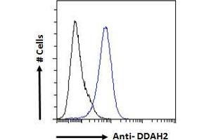ABIN184668 Flow cytometric analysis of paraformaldehyde fixed A431 cells (blue line), permeabilized with 0. (DDAH2 抗体  (C-Term))