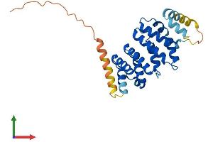 AlphaFold protein structure predicition of Human Recombinant MRO Protein, UniprotID Q9BYG7 (MRO Protein (AA 1-248) (His tag))