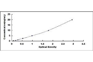 Typical standard curve (CBP ELISA 试剂盒)