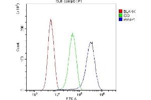 Flow Cytometry analysis of SIHA cells using anti-RRBP1 antibody (ABIN6719628). (RRBP1 抗体)
