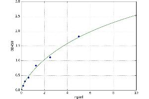 A typical standard curve (N-Cadherin ELISA 试剂盒)