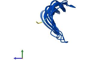 AlphaFold protein structure predicition of Mouse Recombinant Morn2 Protein, UniprotID Q6UL01 (MORN2 Protein (AA 1-79) (Fc Tag))