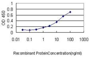 Detection limit for recombinant GST tagged FGG is approximately 0. (FGG 抗体  (AA 31-130))