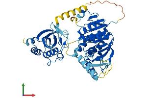 Protein Structure (PS) image for UEV and Lactate/malate Dehyrogenase Domains (UEVLD) (AA 1-471) protein (His tag) (ABIN7545007)