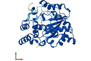 Protein Structure (PS) image for Sulfotransferase Family, Cytosolic, 2A, Dehydroepiandrosterone (DHEA)-Preferring, Member 1 (SULT2A1) (AA 1-285) protein (His tag) (ABIN7546472)