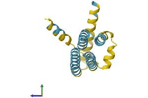 Protein Structure (PS) image for SFT2 Domain Containing 1 (SFT2D1) (AA 1-159) protein (His tag) (ABIN7557532)