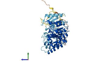 AlphaFold protein structure predicition of Human Recombinant PRAMEF27 Protein, UniprotID A3QJZ7
