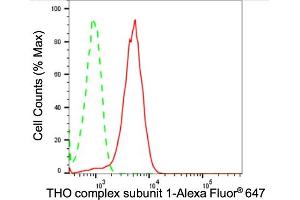 Flow cytometric analysis of THO complex subunit 1 expression in HepG2 cells using THO complex subunit 1 antibody (ABIN7800981), 1:2,000). (Recombinant THOC1 抗体)