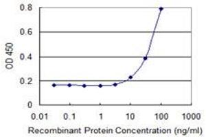 Detection limit for recombinant GST tagged SIN3B is 3 ng/ml as a capture antibody. (SIN3B 抗体  (AA 1063-1160))